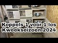 Duiven 1 voor 1 los  koppels vormen  kweekseizoen 2024  postduiven 