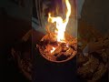 अलाव #winterspecial #ytshorts #nature #fire