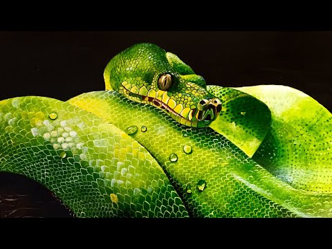 Python Acrylic Painting | Timelapse