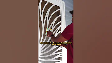 The Search For El Dorado Shorts Youtubeshorts 