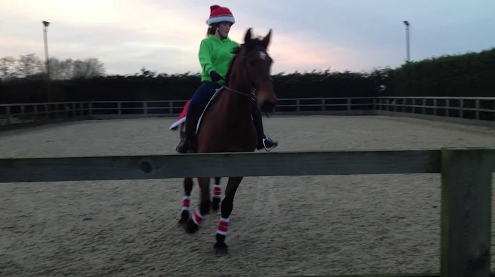 Everyday Dressage Intro C - Elle Wilkinson & Solcu...