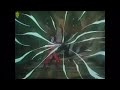 هدلر ضد ڤان ثم داي AMV 