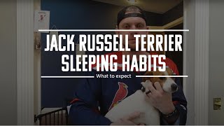 Jack Russell Terrier Sleeping Habits, Patterns and What To Expect  How Much Do Jack Russells Sleep?