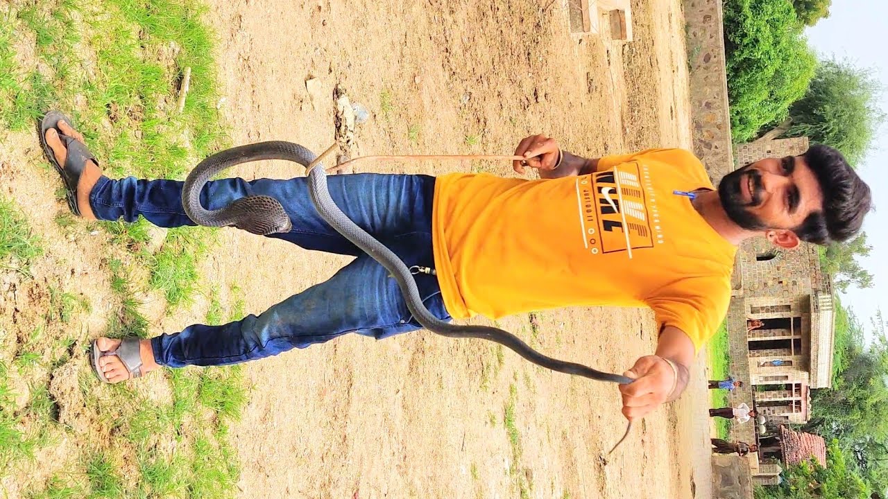 Snake indian spitting cobra 🐍 rescue Snack Premi Yuvraj desai F.F. of