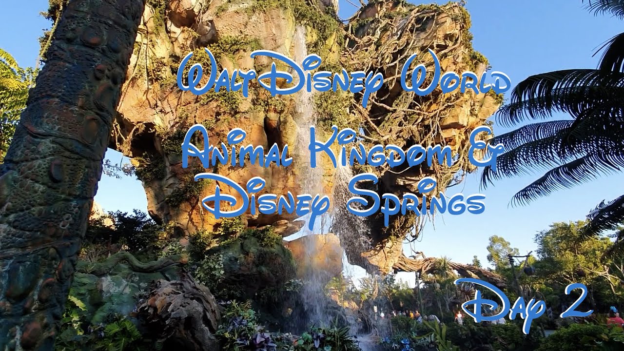 Animal Kingdom, Walmart and Disney Springs Walt Disney World Day 2