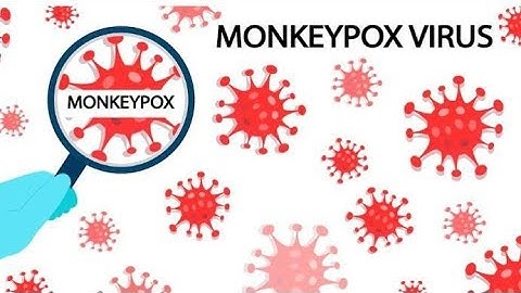 WHO Declares Mpox a Global Health Emergency: What You Need to Know!