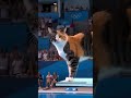 Cat's swing?