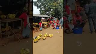 покупка ананасов в Уганде