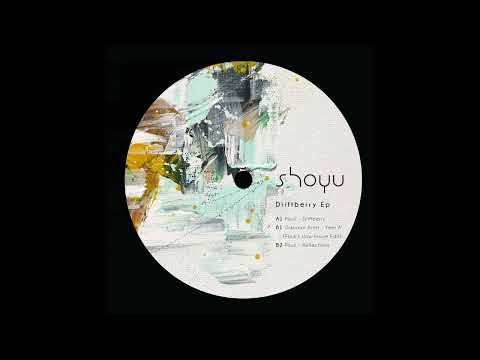 Pauli Reflections SHOYU001