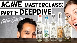 Everything you need to know about AGAVE SPIRITS - Tequila, Mezcal and more - I meet an expert!!