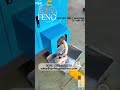 Qinfeng hm 100 polystyrene recycling machinery styrofoam densifier polystyrene densifier machine