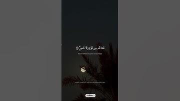 يوم تبلى السرائر | سورة الطارق برواية ورش عن نافع | كامل يوسف البهتيمي #quran