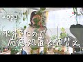 【限界きたので植替え】応急処置がてらついでに植替えもしよか〜（Vlog/033）