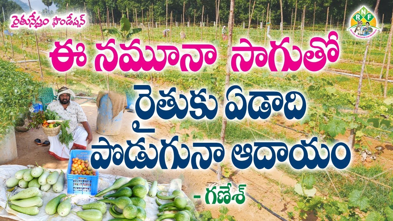 Farming Methods to earn income throughout year | Natural Farmer ML Ganesh - 7702918692  | RNF
