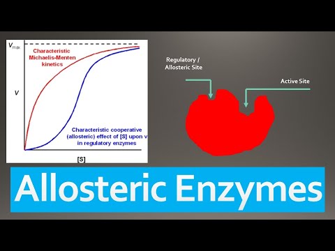 Allosteric Enzymes - Mechanism, Regulation, Models and Classification