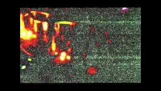 Make Noise Noisy Halloween Treat Make Noise Shared System