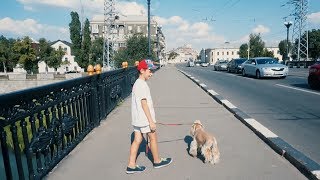 VLOG У ВЕТЕРИНАРА/ Собака боится УКОЛОВ/ДОКТОР ЛЕЧИТ ЖИВОТНЫХ/Делаем УКОЛ VLOG У ВЕТЕРИНАРА/ Собака боится УКОЛОВ/ДОКТОР ЛЕЧИТ ЖИВОТНЫХ/Делаем УКОЛ