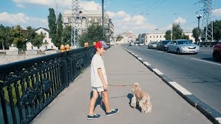 VLOG У ВЕТЕРИНАРА/ Собака боится УКОЛОВ/ДОКТОР ЛЕЧИТ ЖИВОТНЫХ/Делаем УКОЛ