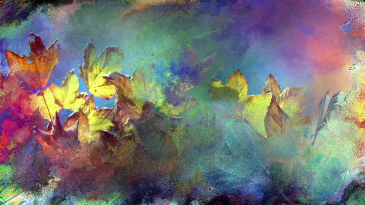 Leaves on a Stream ACT exercise YouTube