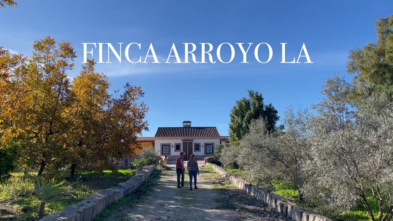 First Tour of our Finca in Spain