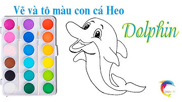 Cách vẽ Cá Heo | Vẽ và tô màu Con Cá Heo | How to Draw Dolphin | Toy For Kids