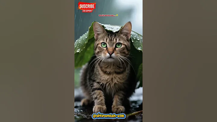 Video 11893101: forest cat
