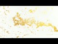Travis Japan「Namidaの結晶」Piano Cover (虎者 NINJAPAN 開演前アレンジver.)