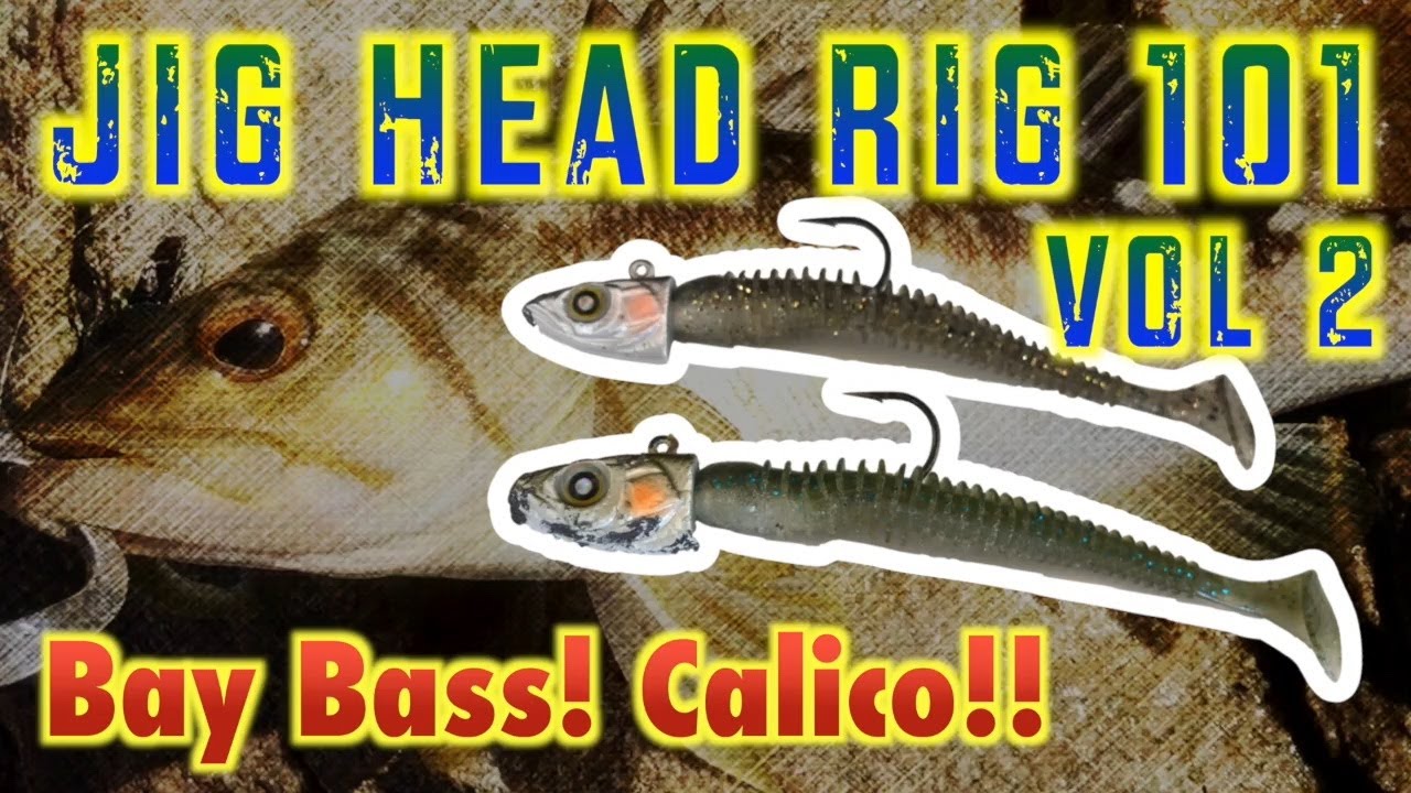 Jig Head rig 101 vol 2! Bay bass, Sand bass, Calico! How to catch? Fishing  in Southern California. 