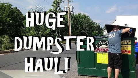 Huge Dumpster Dive Haul from Aldi, CVS and More! Eat Well For Less!