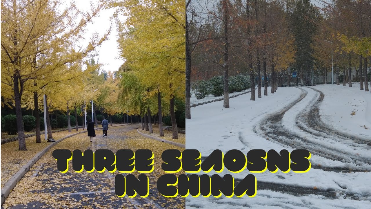 Spring In Dalian How Looks Like Dalian, China in Spring, Autumn and Winter - YouTube