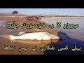 Most Beautiful Island in Mirpur Azad Kashmir For Fishing | Mangla Dam Fishing Muhammad Saad