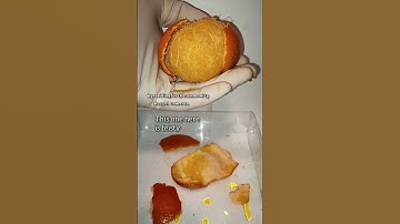 Strange and wonderful lab fruit.