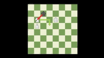 Bishop and Knight Mate using Mating Net #BishopandKnightMate #MatingNet #highlights #followers#chess