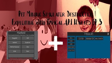 Simulator Destruction | Exploiting With Typical.API Harked EP 3