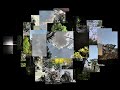Fragments of the Sky — A Cinematic Memory Collage