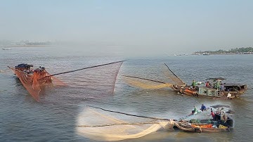 Nghề Ủi Cá Linh Sông Tiền Cuối Mùa Nước Nổi, @sang-mat-hi