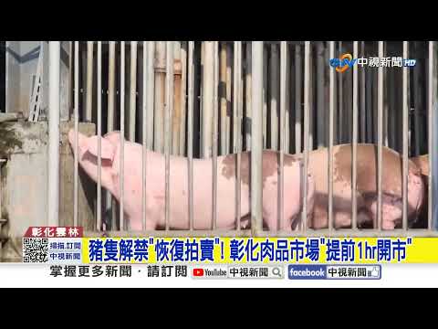 豬隻解禁"恢復拍賣"! 彰化肉品市場"提前1hr開市"│中視新聞 20251107