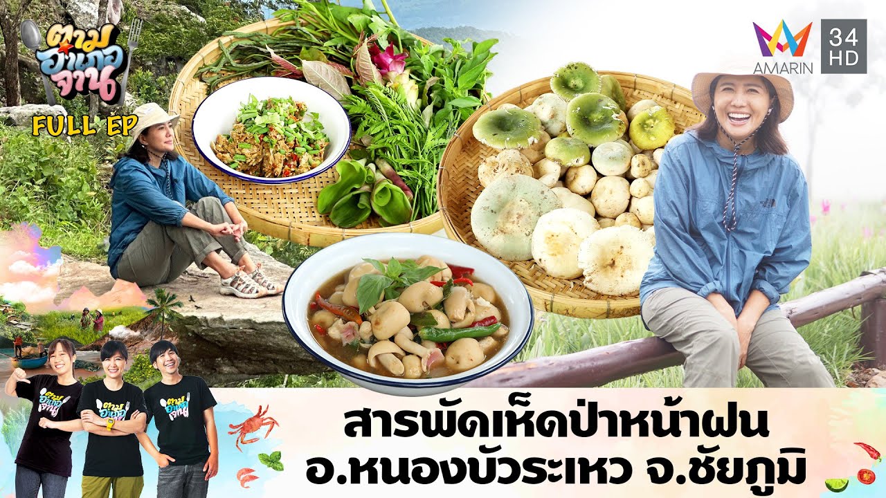 สารพัดเห็ดป่าหน้าฝน อ.หนองบัวระเหว จ.ชัยภูมิ | ตามอำเภอจาน | 6 ส.ค. 67 Full EP