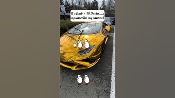 "Only 1% Can Spot the Cat… 10 Ducks Are Easy 😭🔥" #findthedifference #hiddenobjects