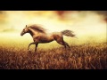 اجمل واروع اناشيد محمود المالكي صوت رائع HD اجمل واروع اناشيد محمود المالكي صوت رائع HD