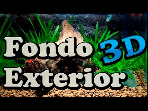 Video: Cómo Hacer Un Fondo En Un Acuario