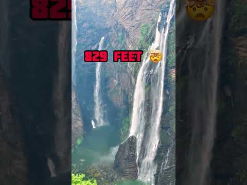 One of the highest waterfalls in India - Jog Falls #travel #travelblogger #india #2023 #karnataka