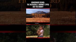 Did You Know This About The Seesaw Scene In Homeward Bound The Incredible Journey 1993?