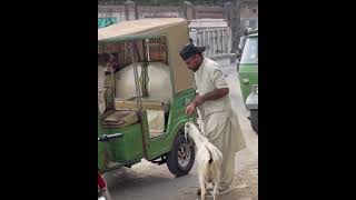 Where u taking my goat stop? funny comedy shortvideo ytshorts