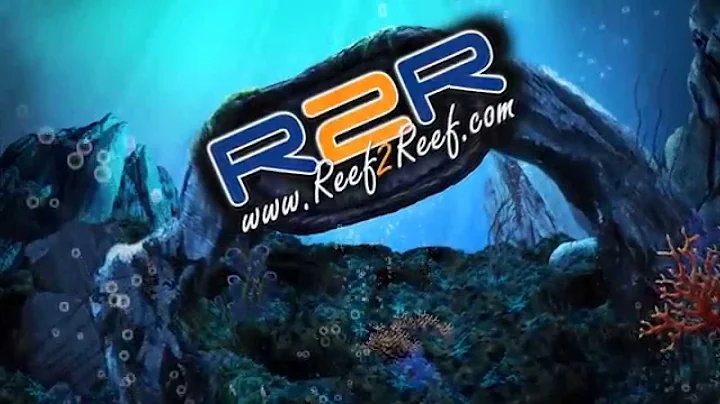 Reef2Reef Tv Episode 3 : Phosphates!
