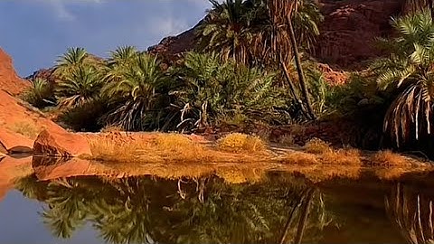 سورة الانفال كاملة تلاوة نجدية جميلة بصوت الشيخ عبدالعزيز العيدان -رحمة الله- | Surah Al-Anfaal