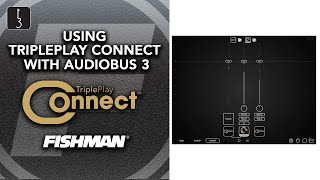 Using TriplePlay Connect with AudioBus 3 screenshot 4