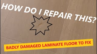 Replacing a damaged laminate floor board. ***CAN I DO IT WITHOUT TAKING THE WHOLE FLOOR UP?*** by The Tall Carpenter 7,375 views 7 months ago 16 minutes