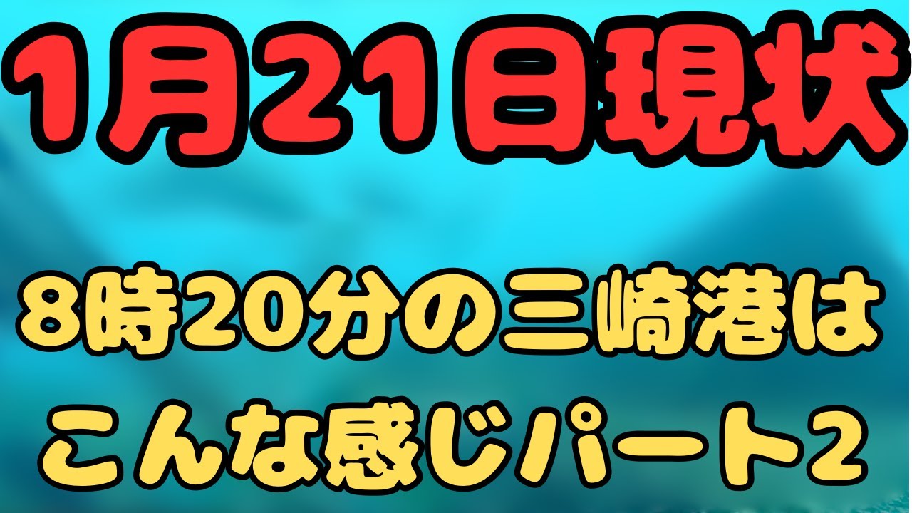 【超人気釣りポイント】　三崎港　超低温冷蔵庫前　現状　水中動画パート2 釣りの参考に