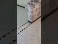 تركيب الزليج بطريقة رائعة